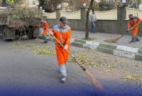 شناسایی درختان خطر آفرین با تکنولوژی پیشرفته آغاز شد طرح ویژه هرس و پایش درختان رشت برای جلوگیری از حوادث جوی