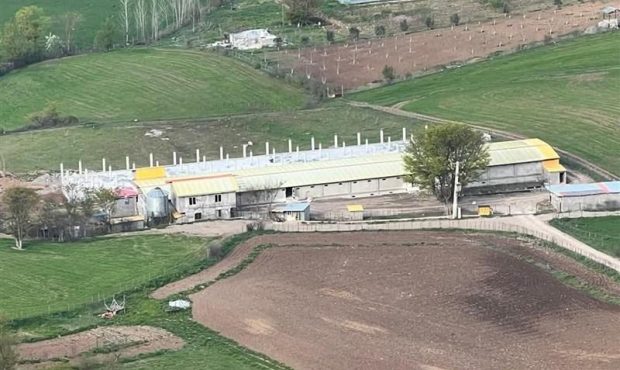 نفوذ لابی مرغداری‌ها، وعده‌های دولت را در رودبار به چالش کشیده است