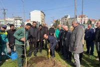رشت در مسیر توسعه فضای سبز؛ آغاز کاشت درختان بومی در سطح شهر