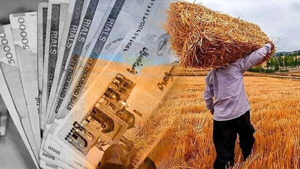 آغاز واریز یارانه نقدی کودهای فسفاته و پتاسه به حساب کشاورزان گیلانی